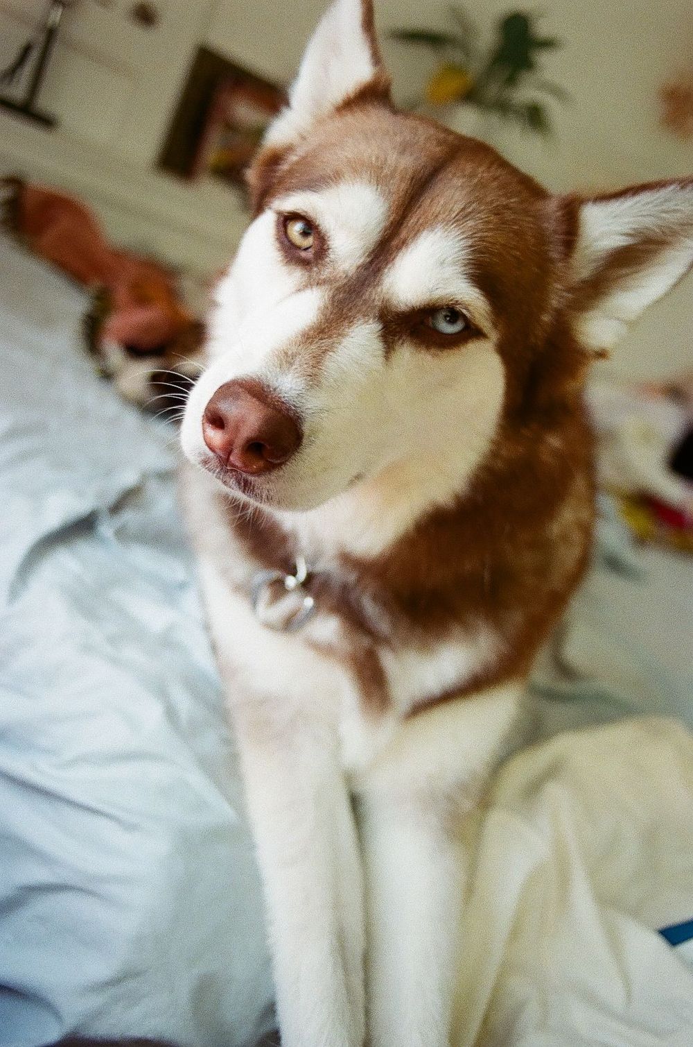 Film portrait